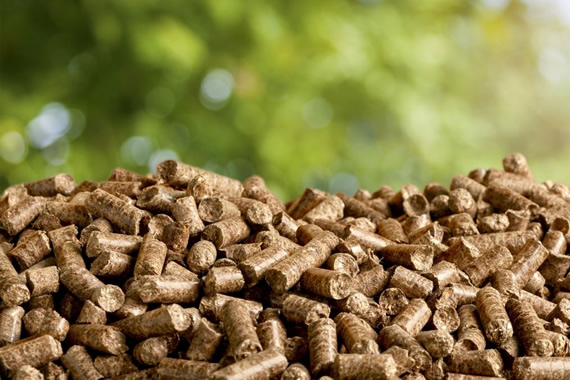 How is it generated - Biomass